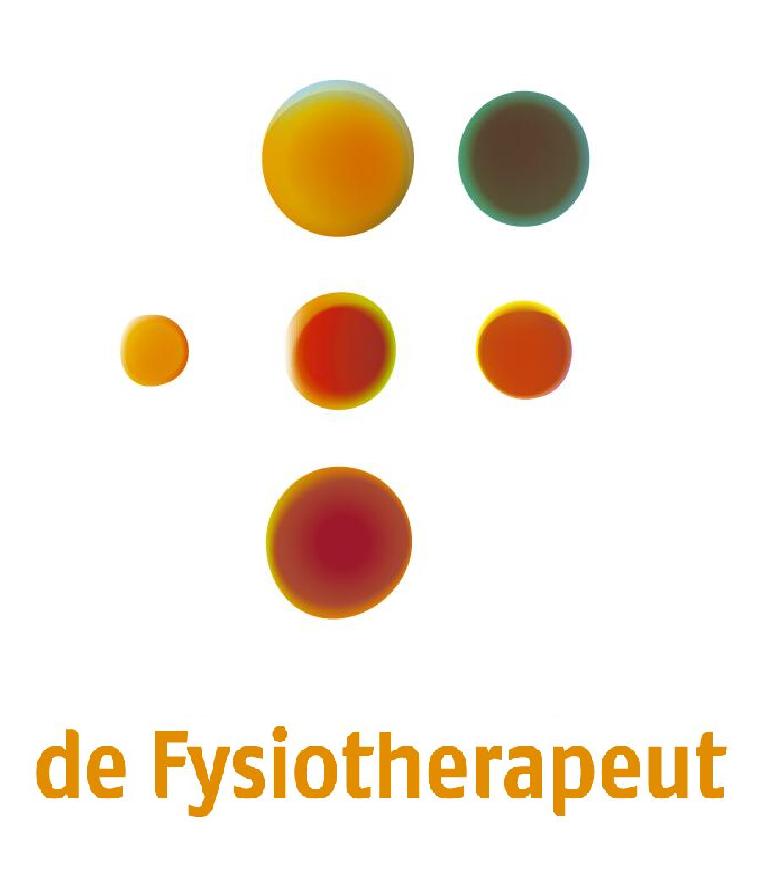 de fysiotherapeut